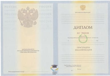 Диплом ГБОУ ВПО БГМУ 2010-2011 годов